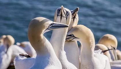 爱游戏中国电竞-绝地求生 选手训练强度持续加大，绝地求生训练手雷在哪里