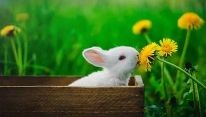 爱游戏中国电竞-绝地求生 选手训练强度持续加大，绝地求生训练手雷在哪里